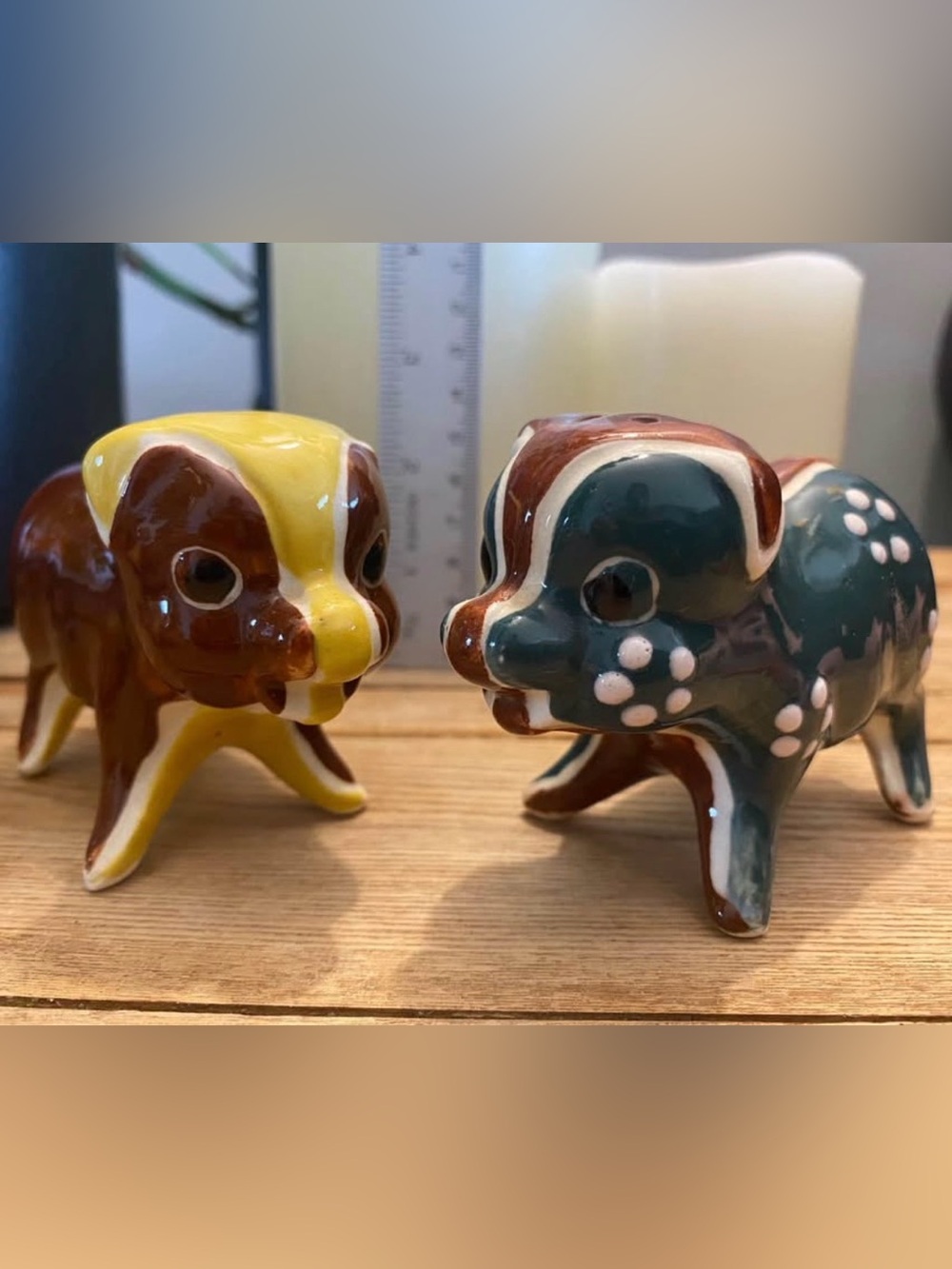 Vintage Ceramic Pig Salt & Pepper Shakers Set • Hand Painted Boho
